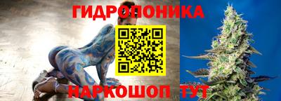 индика Гагарин