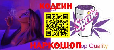 индика Гагарин
