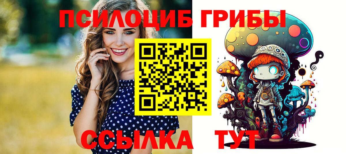 Псилоцибиновые грибы GOLDEN TEACHER Муравленко